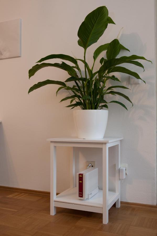 Studio Apartment - Zentral Mit Parkplatz - Balkon Μπαϊρόιτ Εξωτερικό φωτογραφία